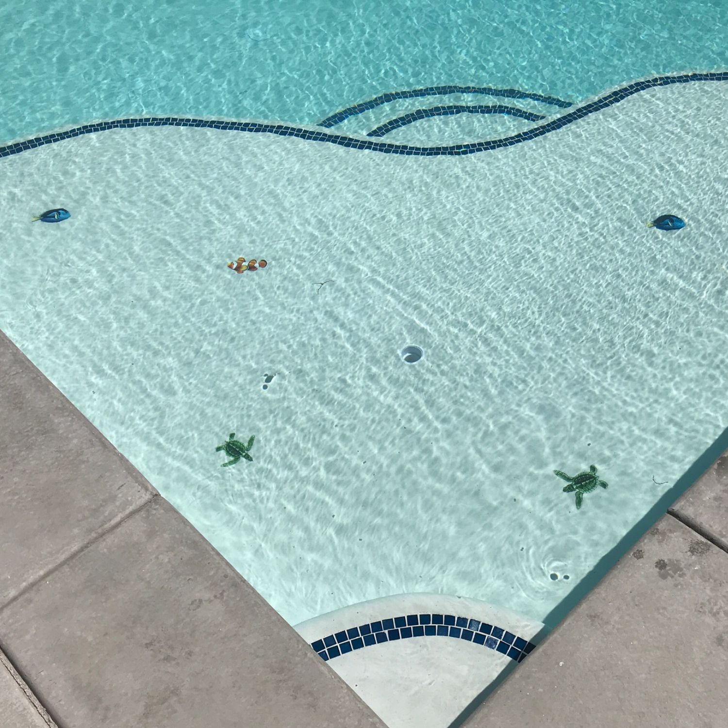 Swimming Pool Tile Mosaics for Personalization and Visual Impact
